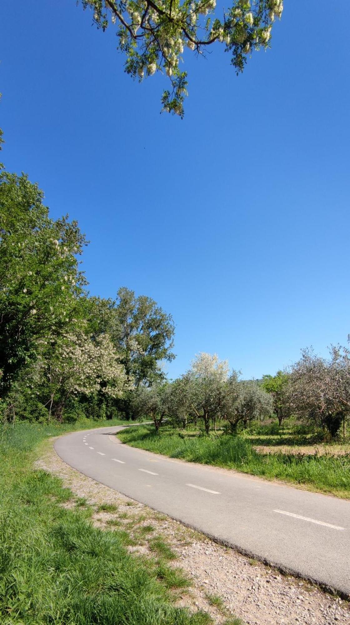Bordon Wines, Estate With Accommodation Dekani 外观 照片